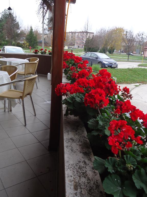 Czermann Panzio Es Etterem Hotel Oroszlány Екстериор снимка