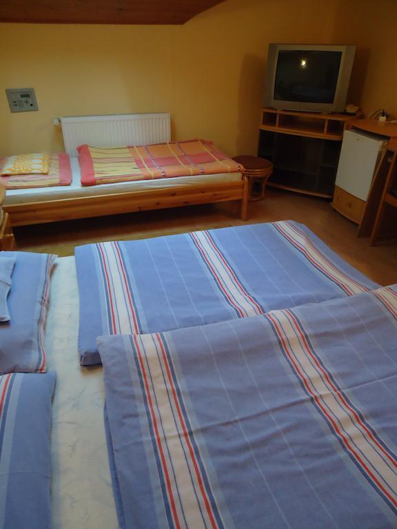 Czermann Panzio Es Etterem Hotel Oroszlány Екстериор снимка